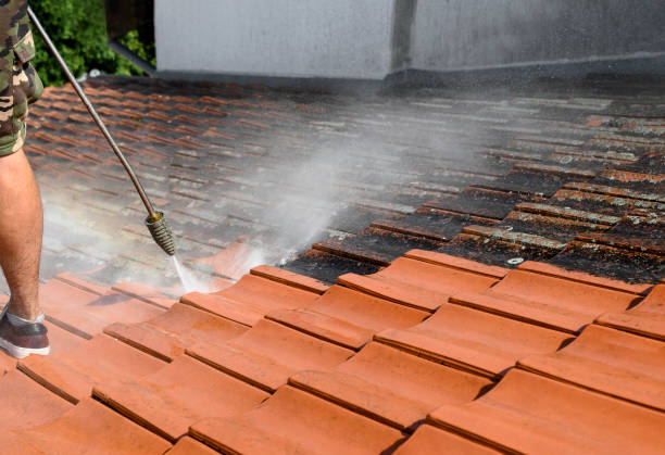 Professional Pressure Washing in Ponderosa Park, CO